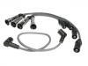 Ignition Wire Set:200 998 031 B