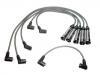 Ignition Wire Set:200 998 031 C