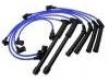 Ignition Wire Set:22450-88G25