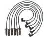 Ignition Wire Set:19171852